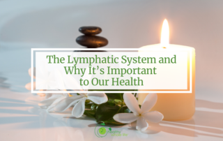 lymphatic system important to health candle balance