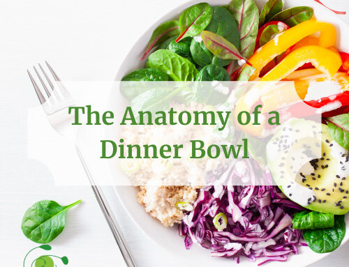 The Anatomy of a Dinner Bowl