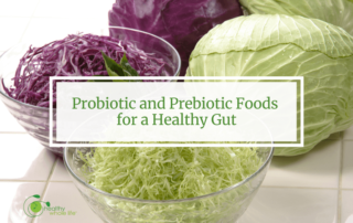probiotic prebiotic foods healthy gut